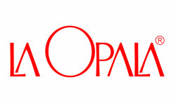 BBA College in Delhi/NCR