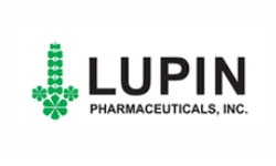 BBA College in Delhi/NCR